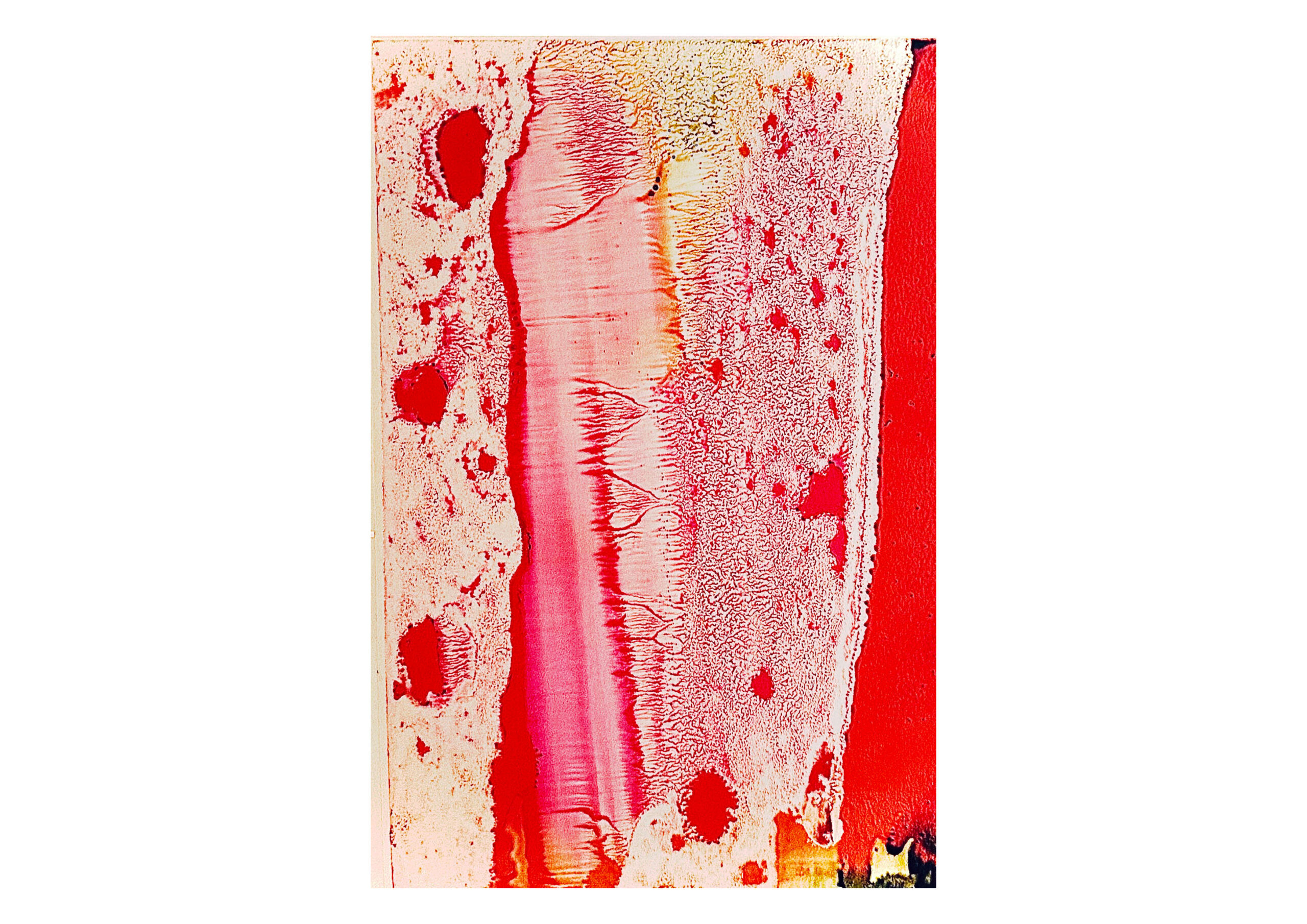 Art Fair Nagoya 2026 に出品